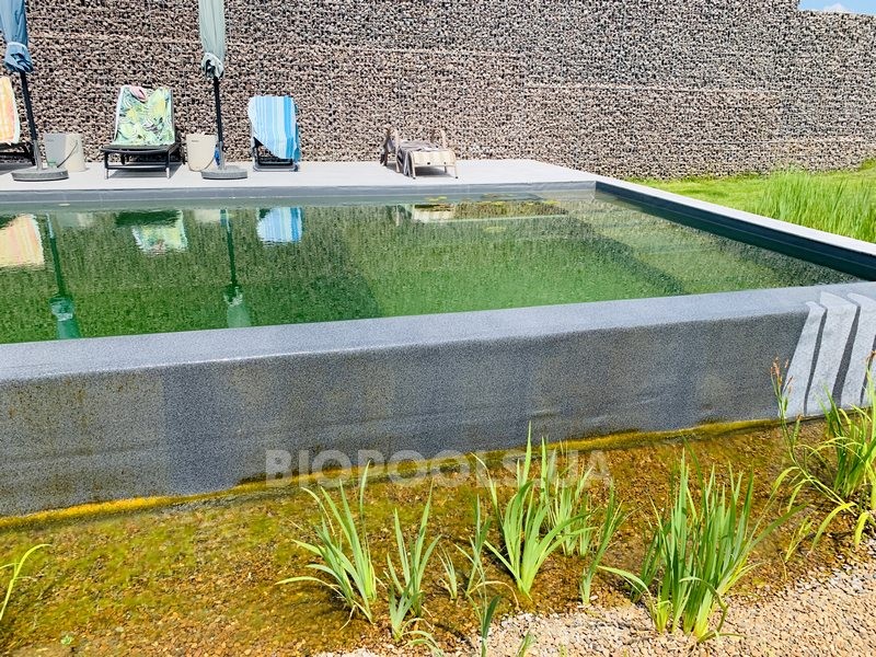 2019_biopool_Dmytrovichi_03