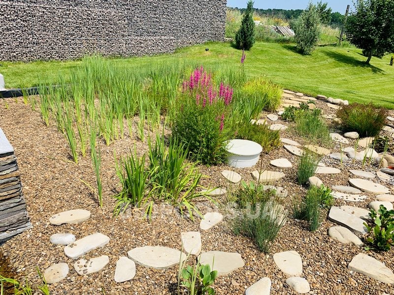 2019_biopool_Dmytrovichi_04