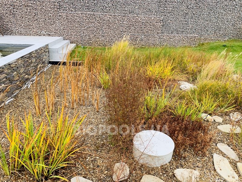 2019_biopool_Dmytrovichi_06