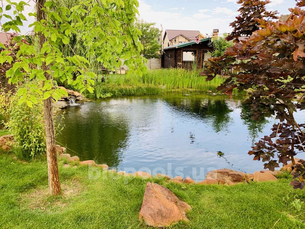 2015_Vishenki_pond_2020_03