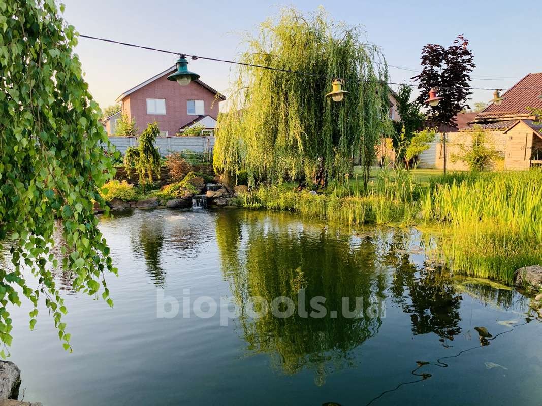 2015_Vishenki_pond_2020_05