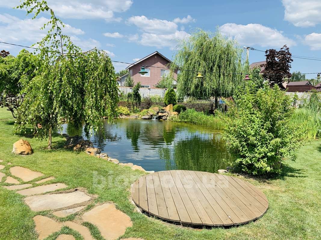 2015_Vishenki_pond_2020_19