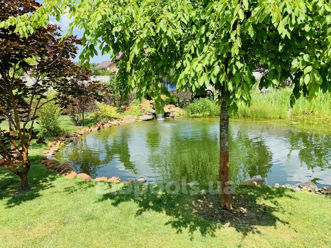 2015_Vishenki_pond_2020_20