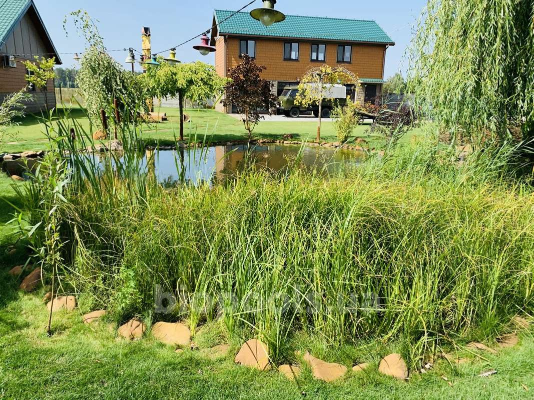 2015_Vishenki_pond_2020_22