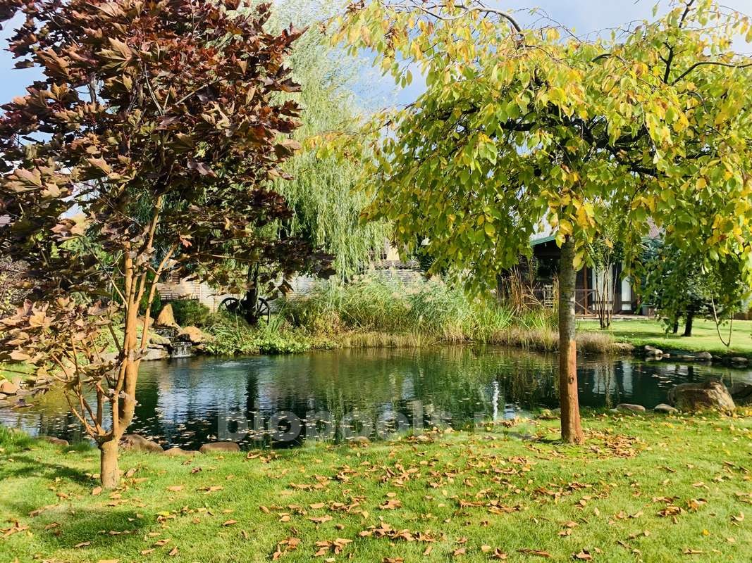 2015_Vishenki_pond_2020_02