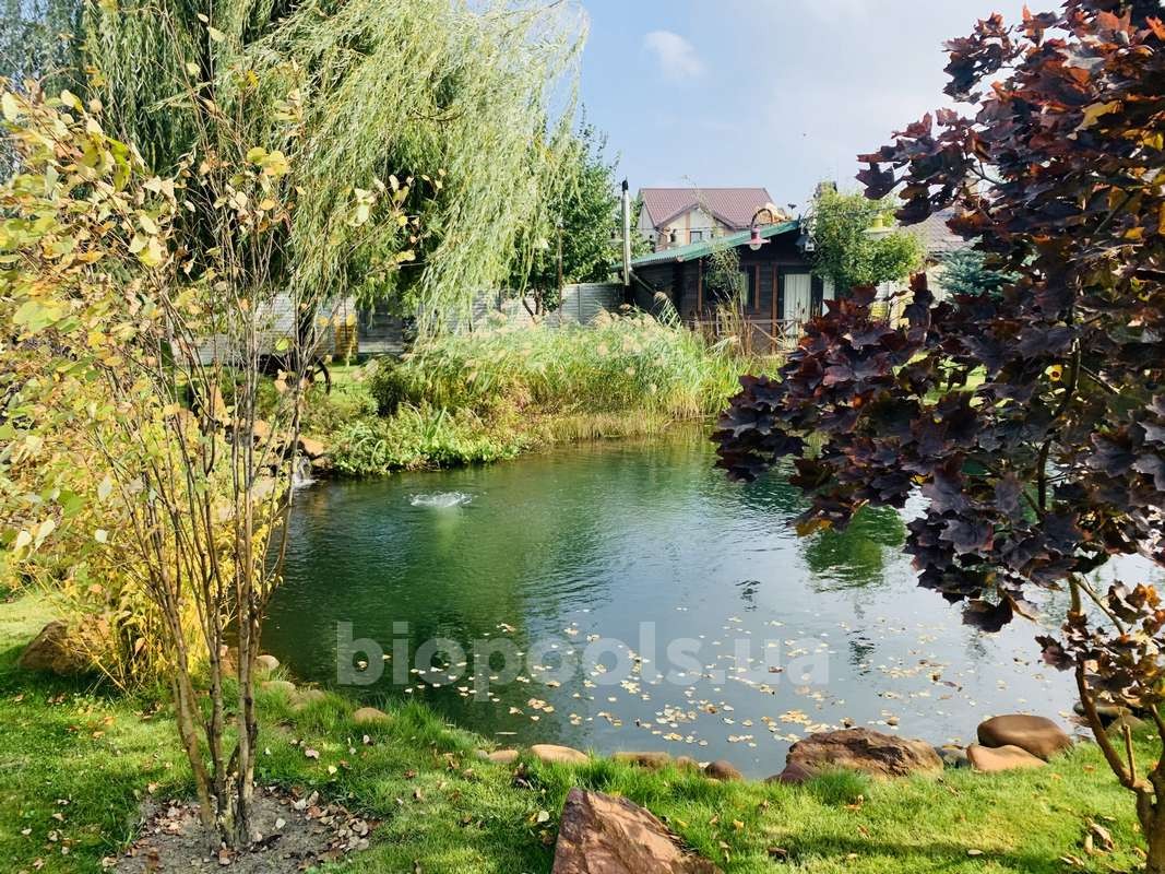 2015_Vishenki_pond_2020_03