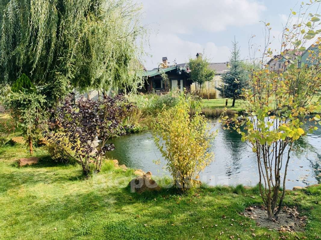 2015_Vishenki_pond_2020_04