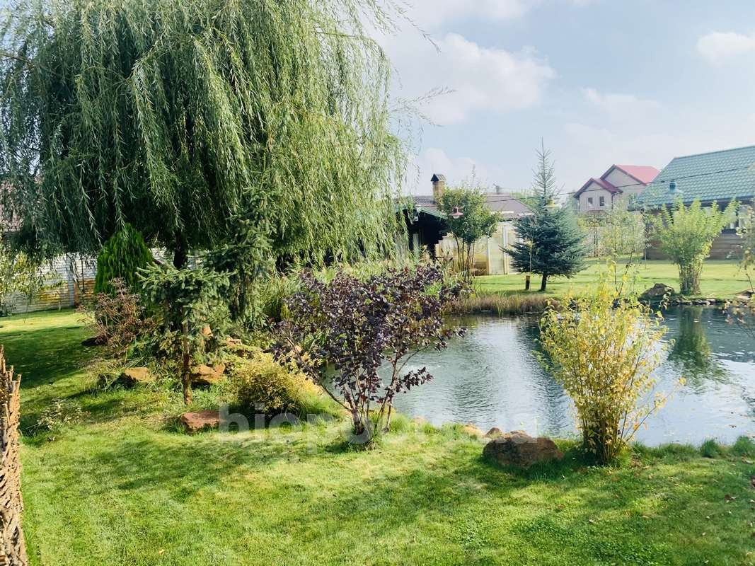 2015_Vishenki_pond_2020_05