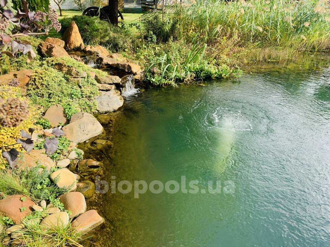 2015_Vishenki_pond_2020_06