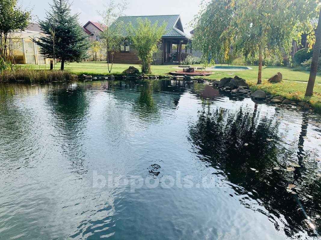 2015_Vishenki_pond_2020_07