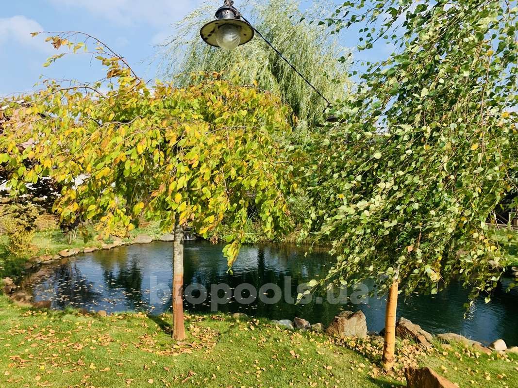 2015_Vishenki_pond_2020_08