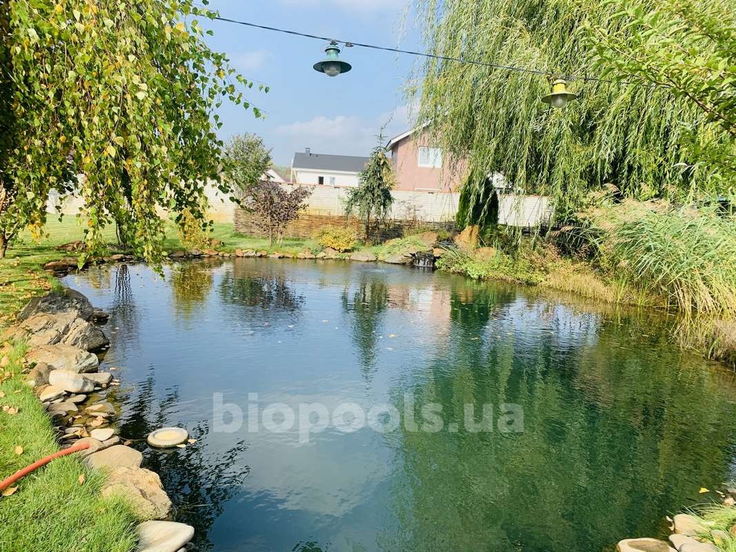 2015_Vishenki_pond_2020_09