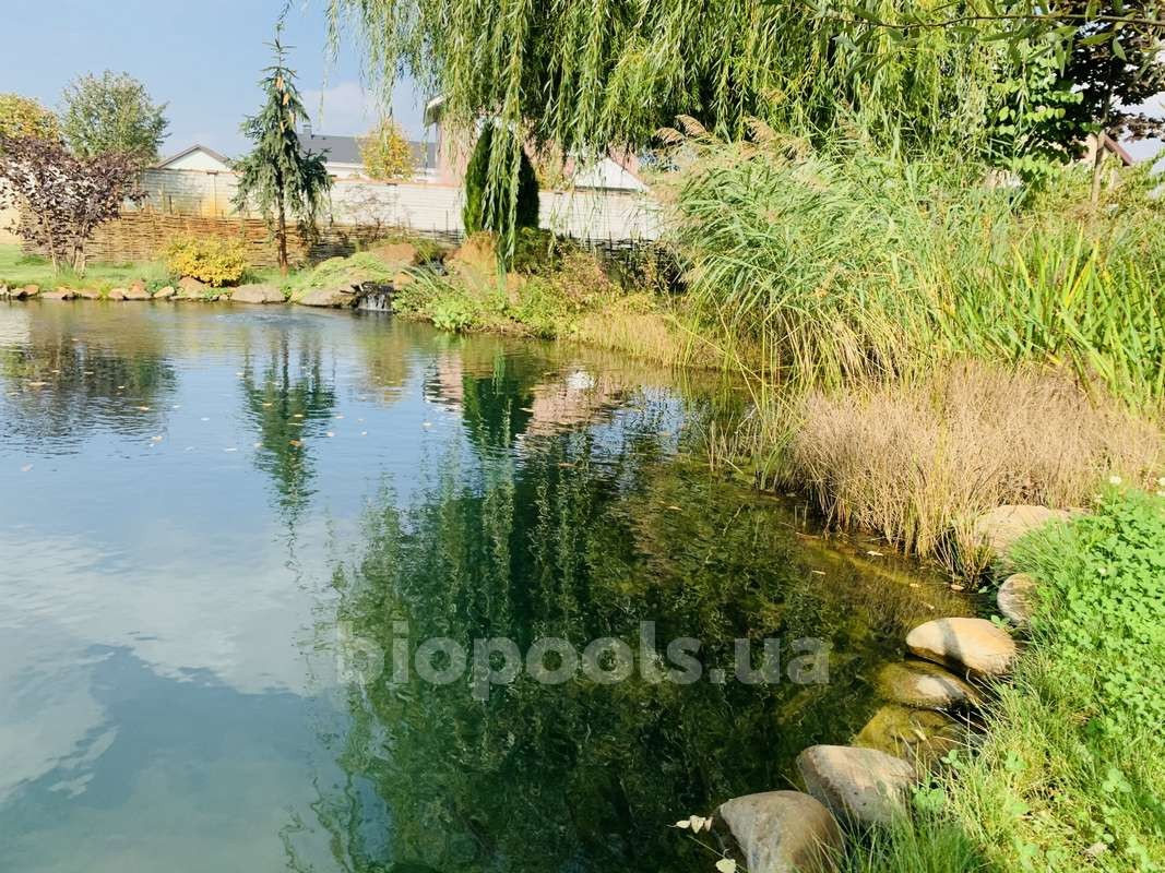 2015_Vishenki_pond_2020_10