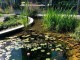 biopond_respublica_09
