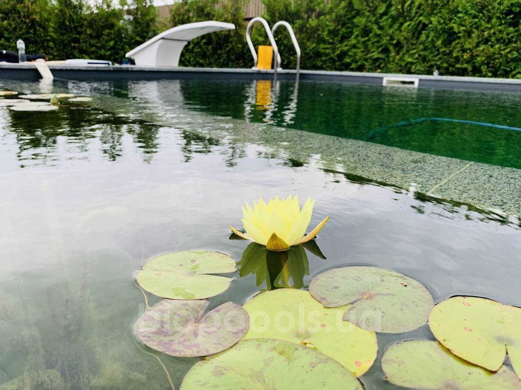 biopool_krushinka_14