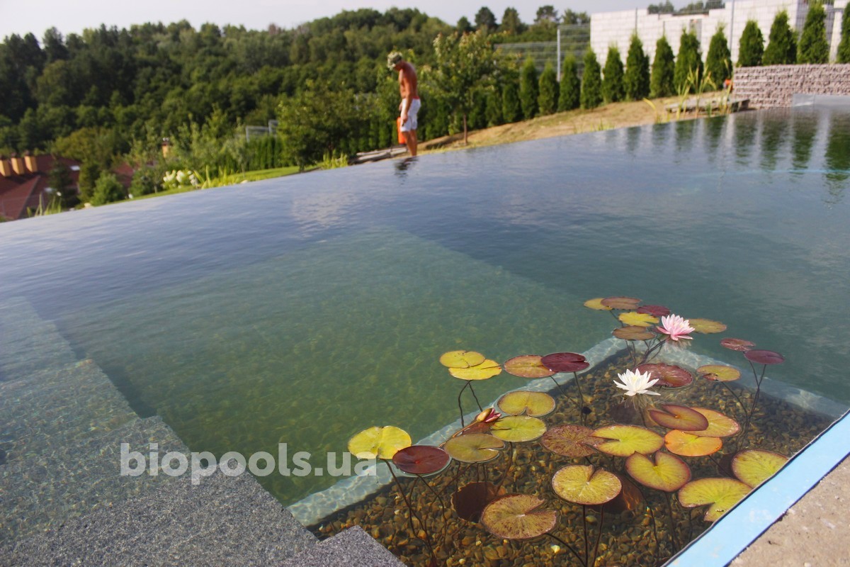 2017_biopool_dmytrovichi_190