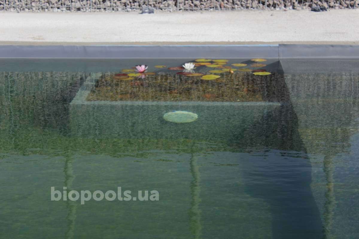 2017_biopool_dmytrovichi_215