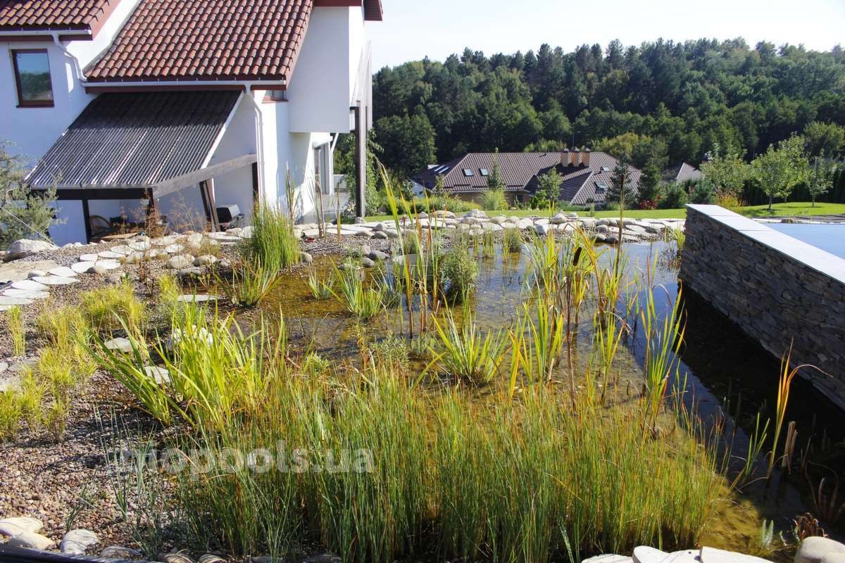 2017_biopool_dmytrovichi_228