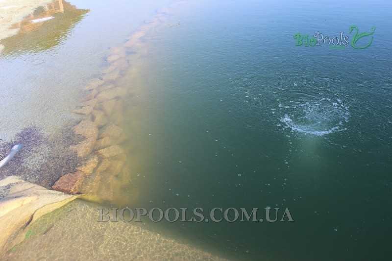 biopools_Vishenki_170