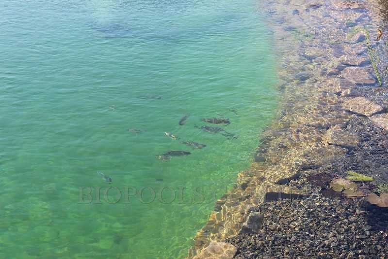 biopools_Vishenki_288