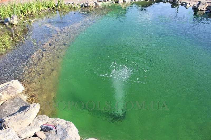 biopools_Vishenki_294