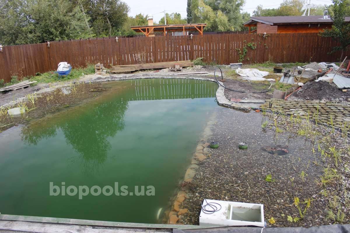 2017_biopond_dudarkov_05