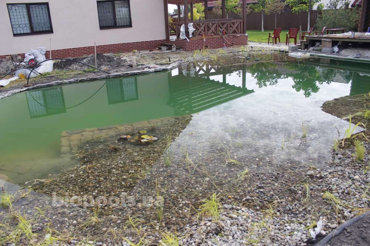 2017_biopond_dudarkov_06