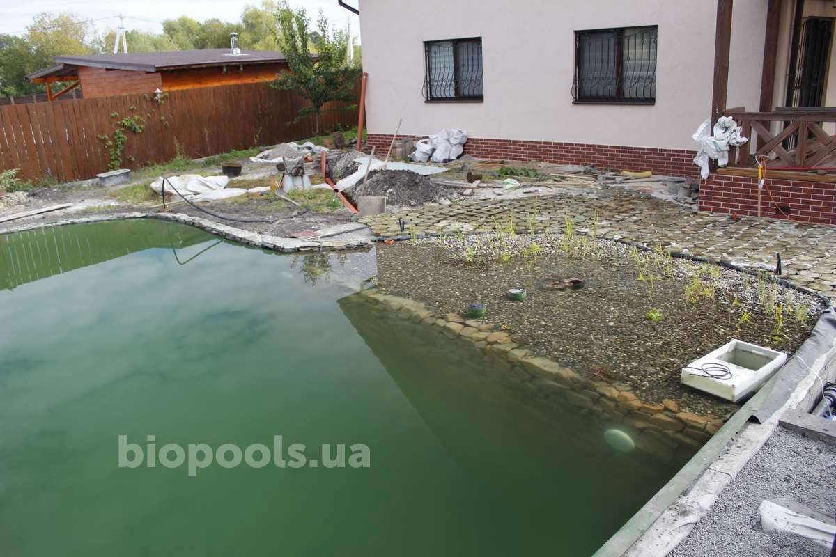 2017_biopond_dudarkov_07