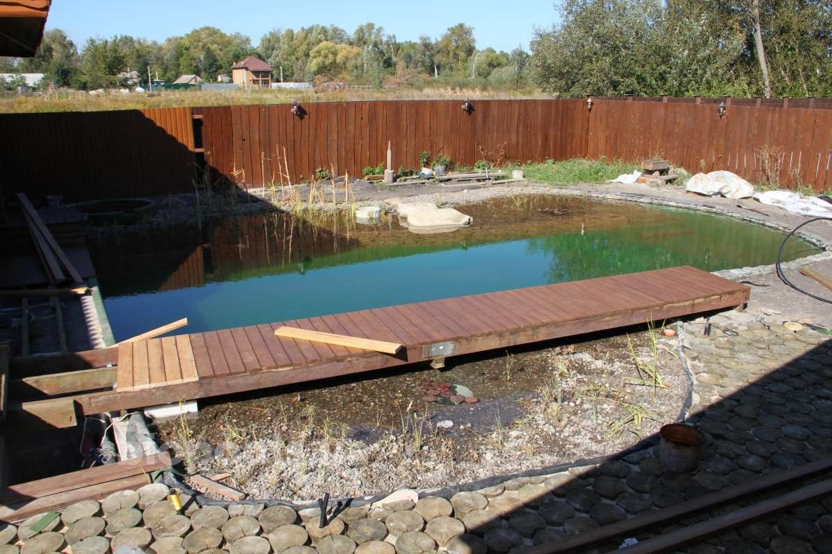 2017_biopond_dudarkov_08