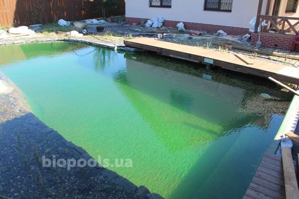 2017_biopond_dudarkov_09