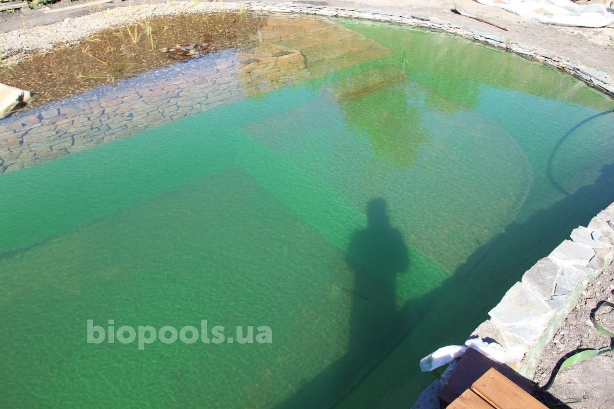 2017_biopond_dudarkov_10