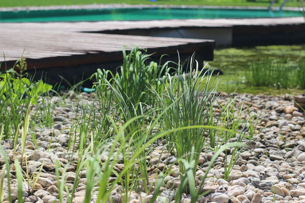 2016_brovary_2018_05