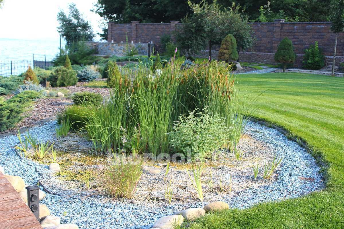 2018_biopool_yasnogorodka_14