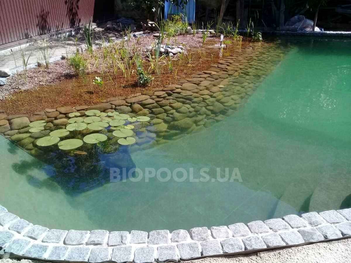 2018_biopond_sborsch_02