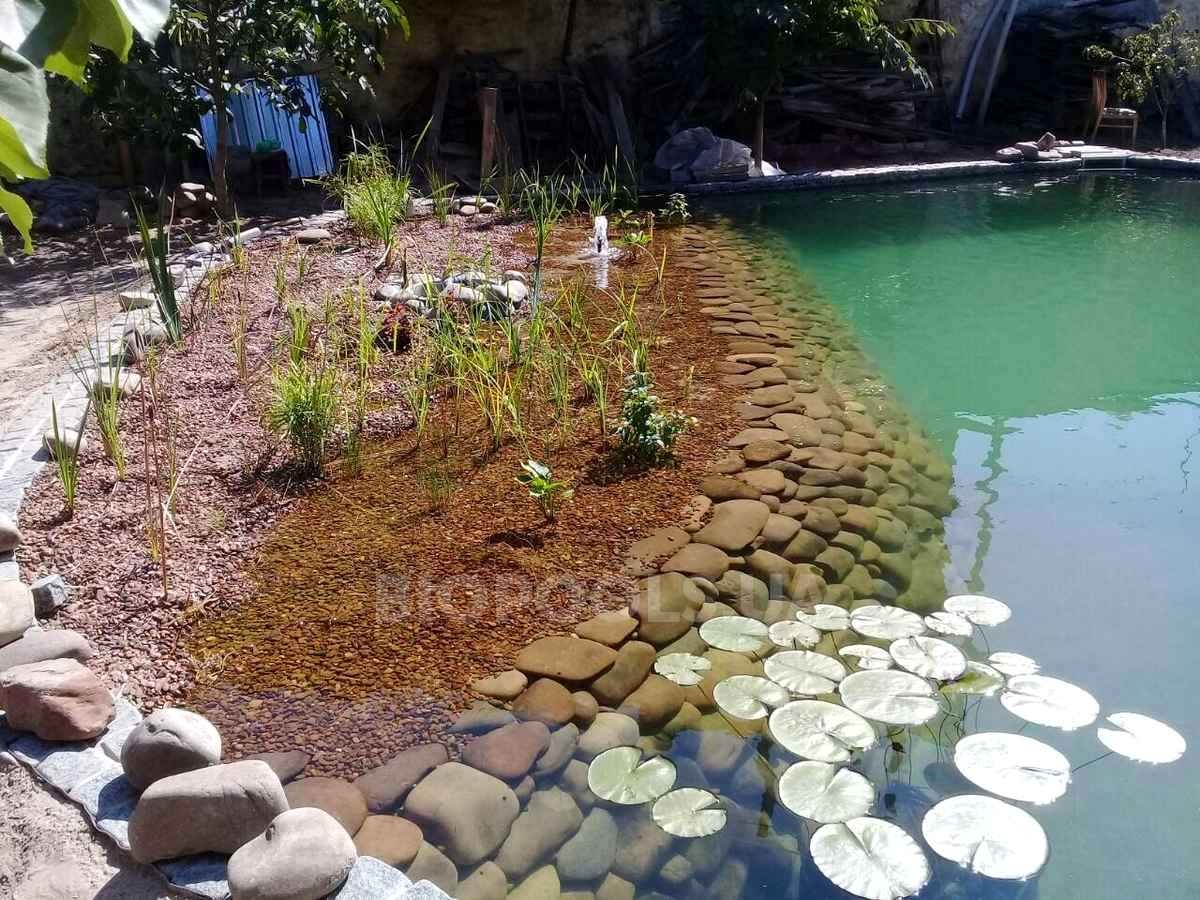 2018_biopond_sborsch_03