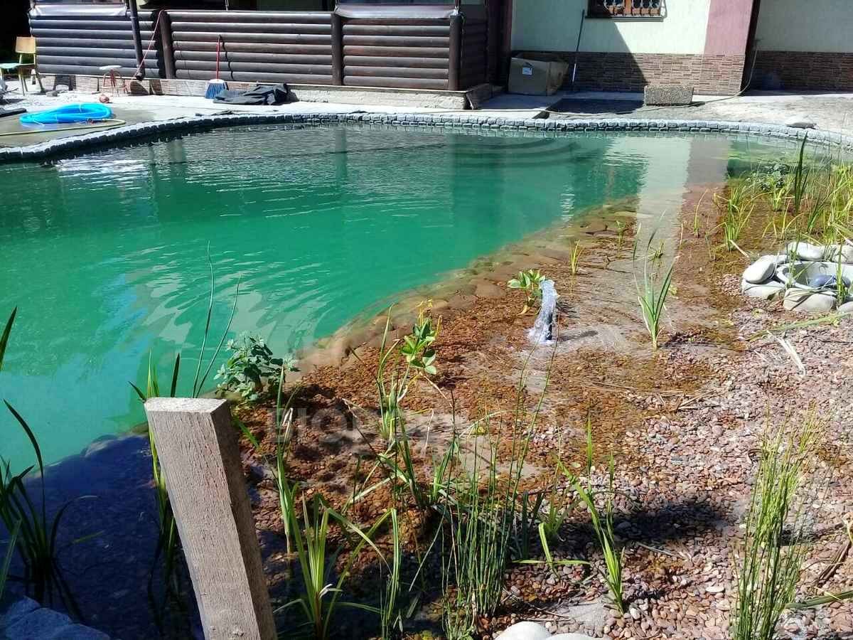 2018_biopond_sborsch_04