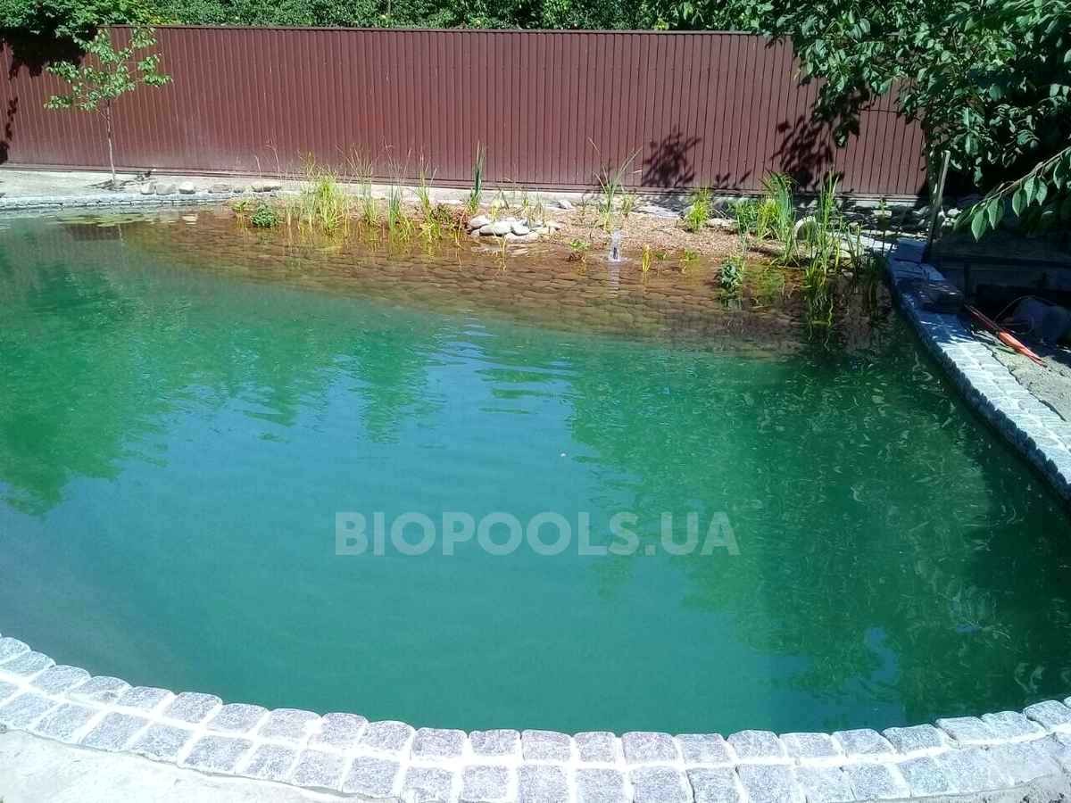 2018_biopond_sborsch_05