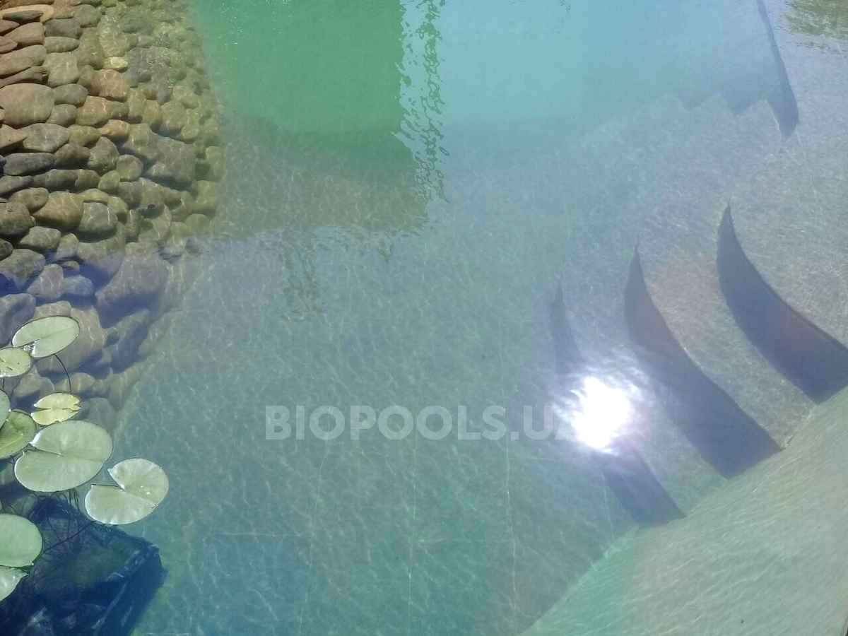 2018_biopond_sborsch_06