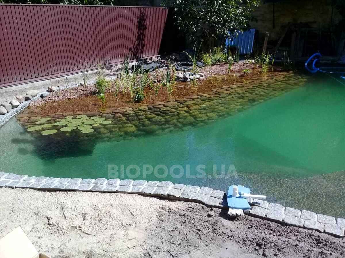 2018_biopond_sborsch_07