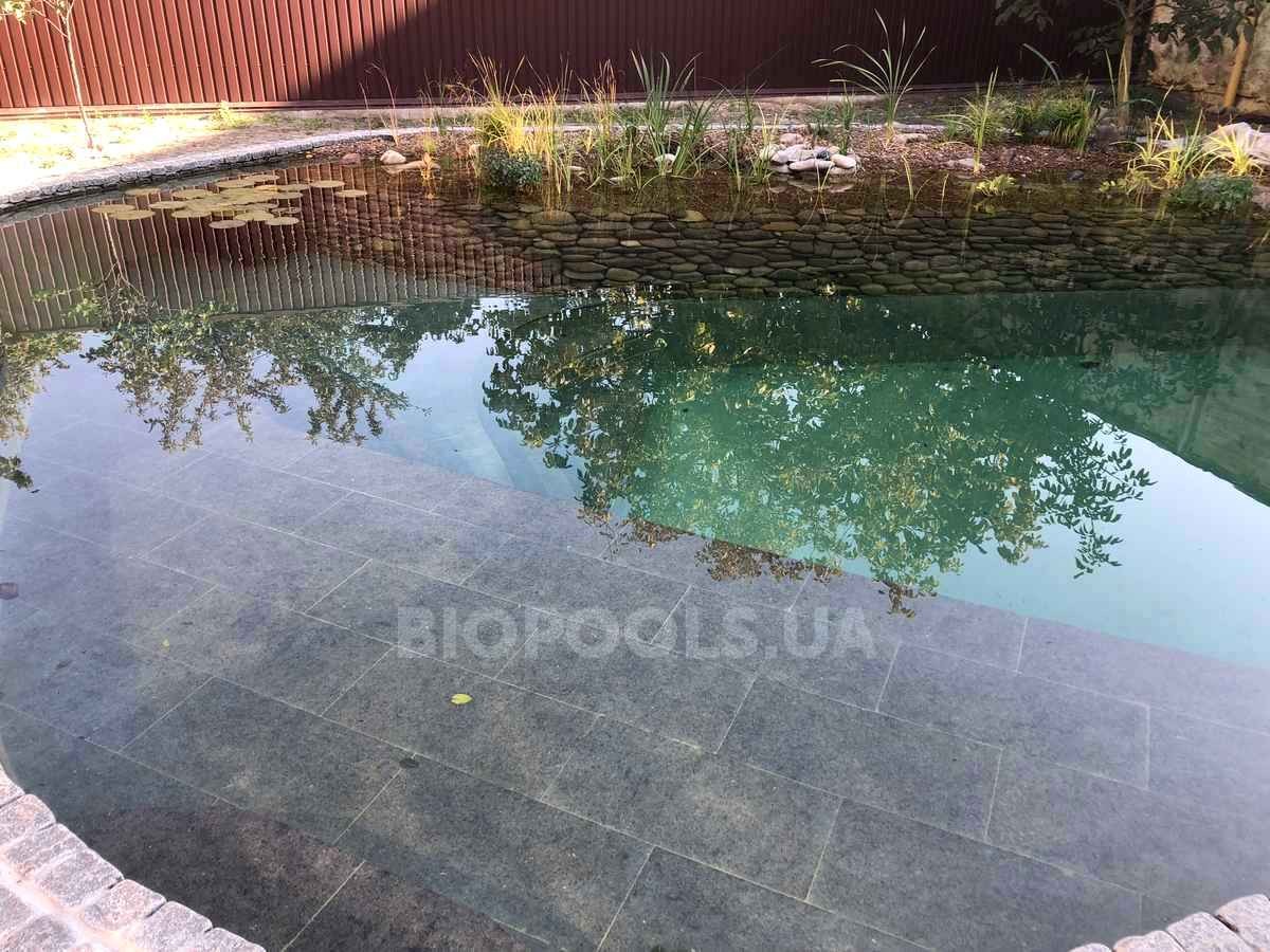 2018_biopond_sborsch_08