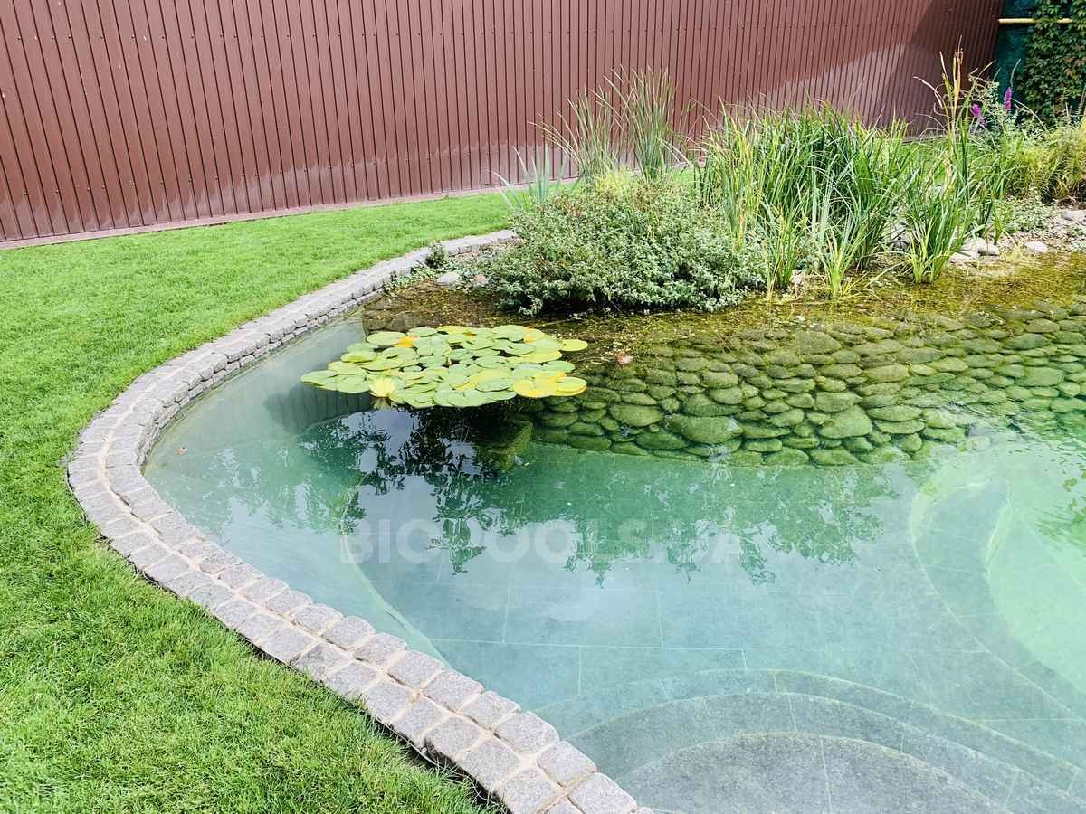 2019_biopond_sborsch_04