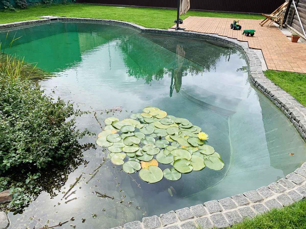 2019_biopond_sborsch_06