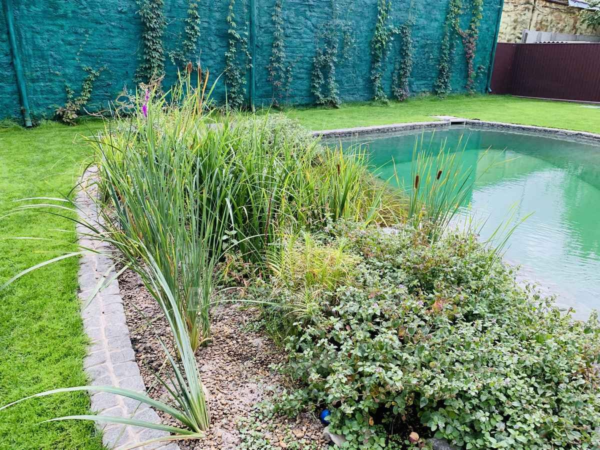 2019_biopond_sborsch_07