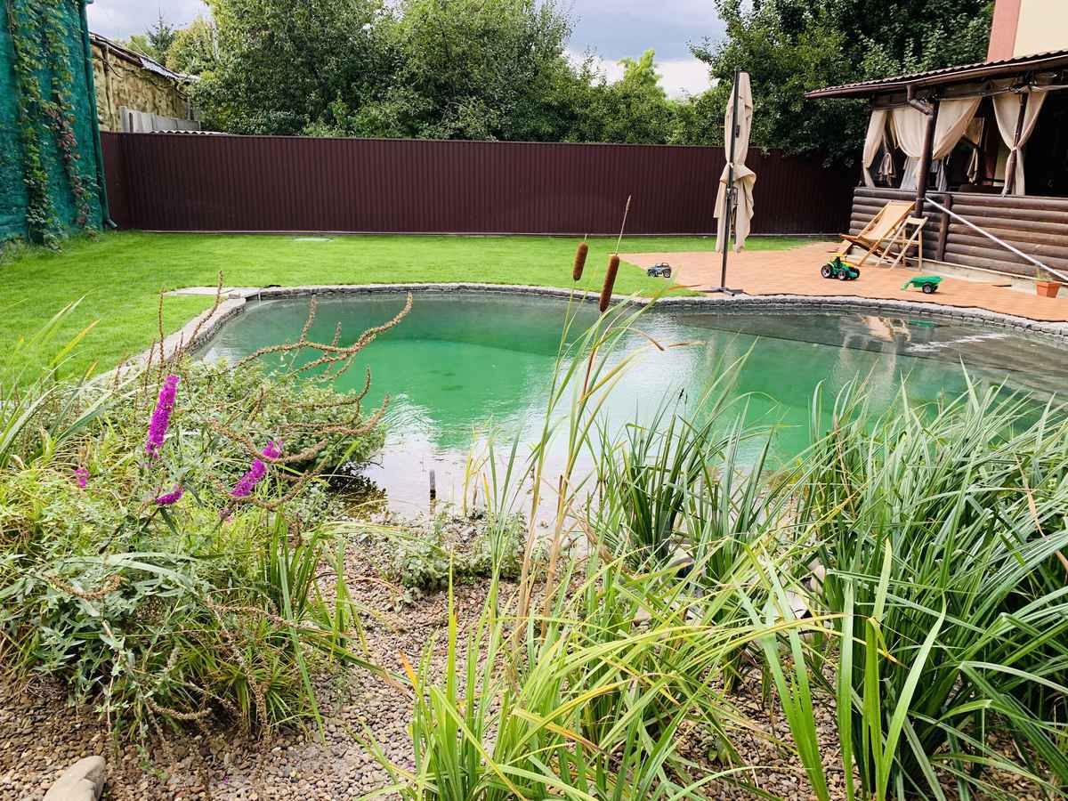 2019_biopond_sborsch_08