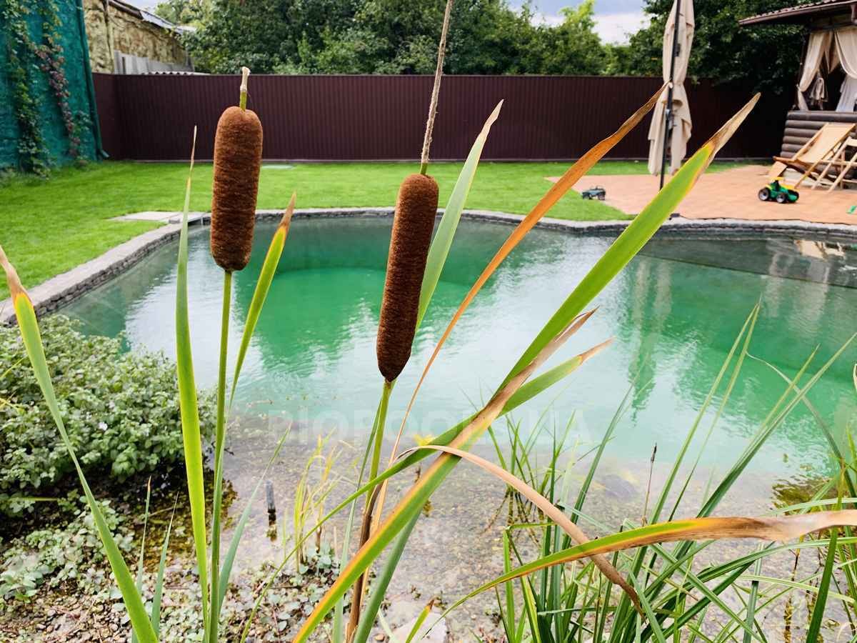 2019_biopond_sborsch_09