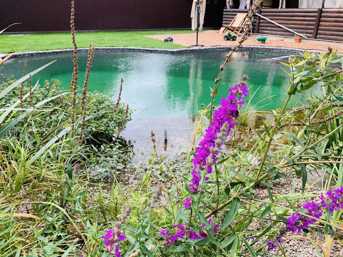 2019_biopond_sborsch_10