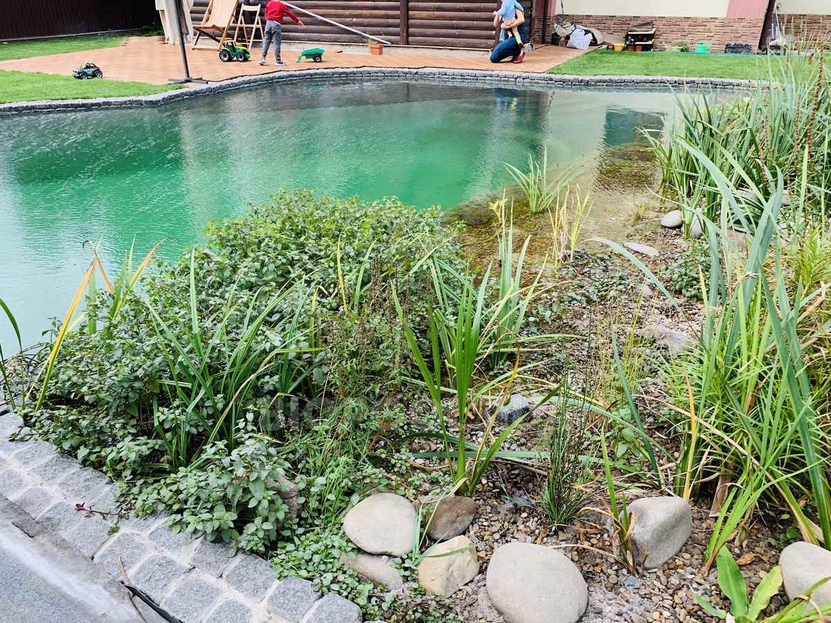 2019_biopond_sborsch_11