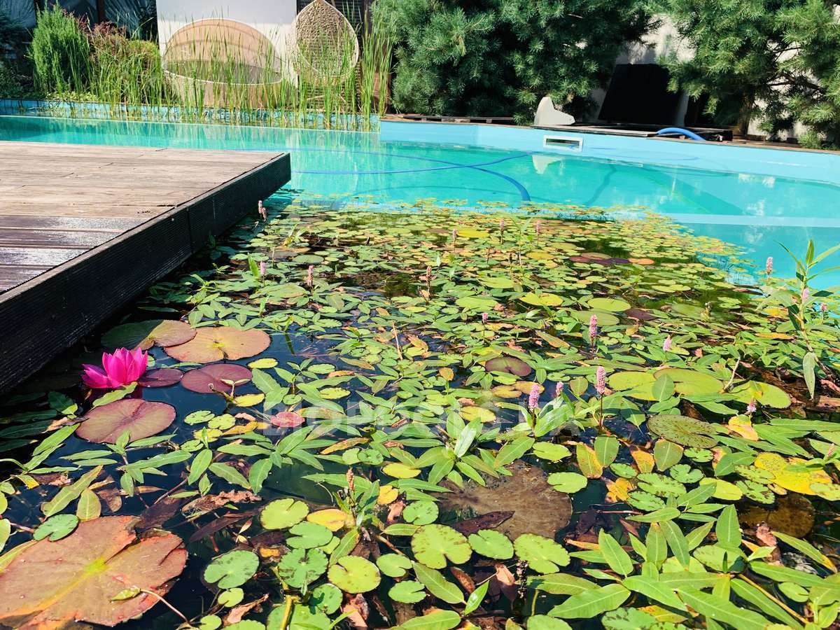 2019_biopool_petrovci2_03