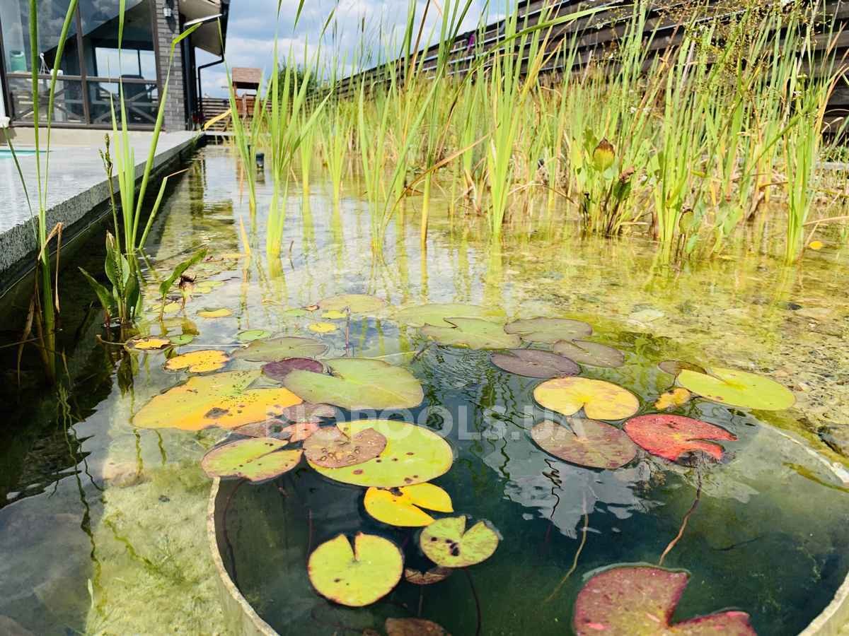 2019_biopool_shpityki_07