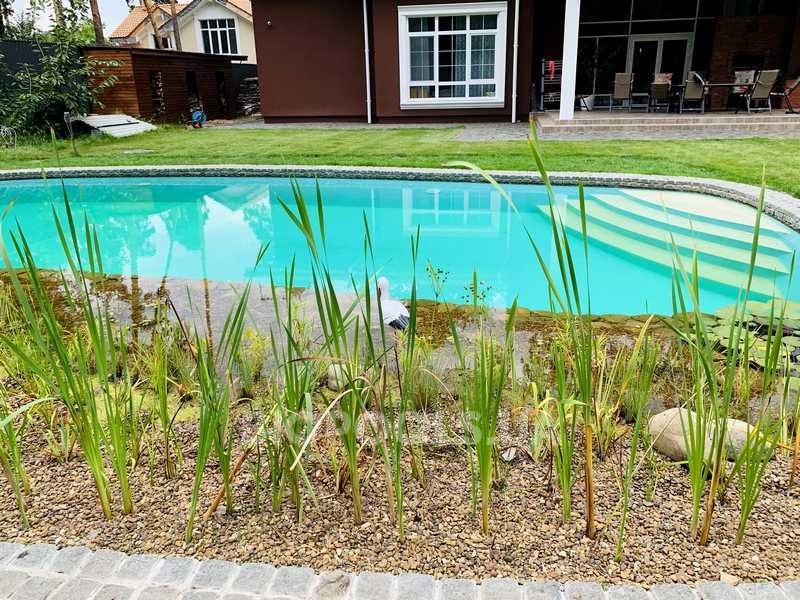 2019_biopond_katerinovka_10